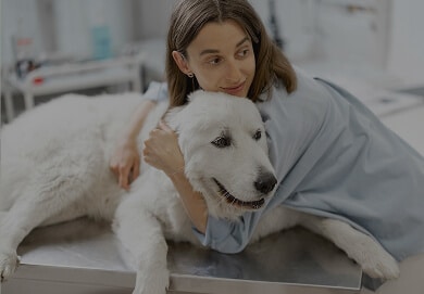 Pet Care